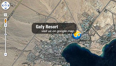Visit Us Google Map